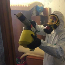 Уничтожение клопов в квартире. Приладожский